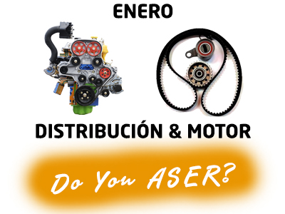 Mariscos claro No puedo leer ni escribir Las 12 causas ASER – Distribución y Motor – Aser Automotive